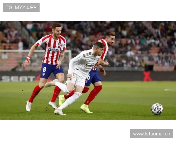 巴尔韦德B2B全能覆盖能力解析